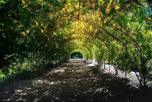 By Travellers travel photobook from Melbourne, Australia, Australia - 0G2A1310, CC BY 2.0, https://commons.wikimedia.org/w/index.php?curid=66449175 By Travellers travel photobook from Melbourne, Australia, Australia - 0G2A1310, CC BY 2.0, https://commons.wikimedia.org/w/index.php?curid=66449175