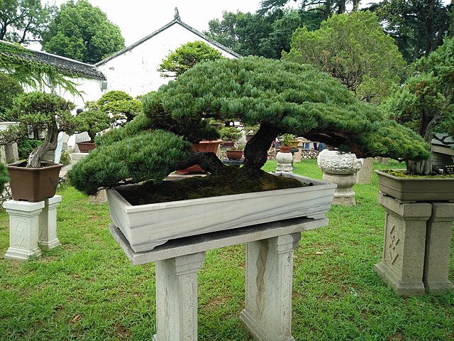 By Accurimbono - Own work, CC BY-SA 4.0, https://commons.wikimedia.org/w/index.php?curid=50796462