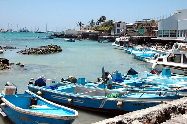 By David Broad, CC BY 3.0, https://commons.wikimedia.org/w/index.php?curid=52232523